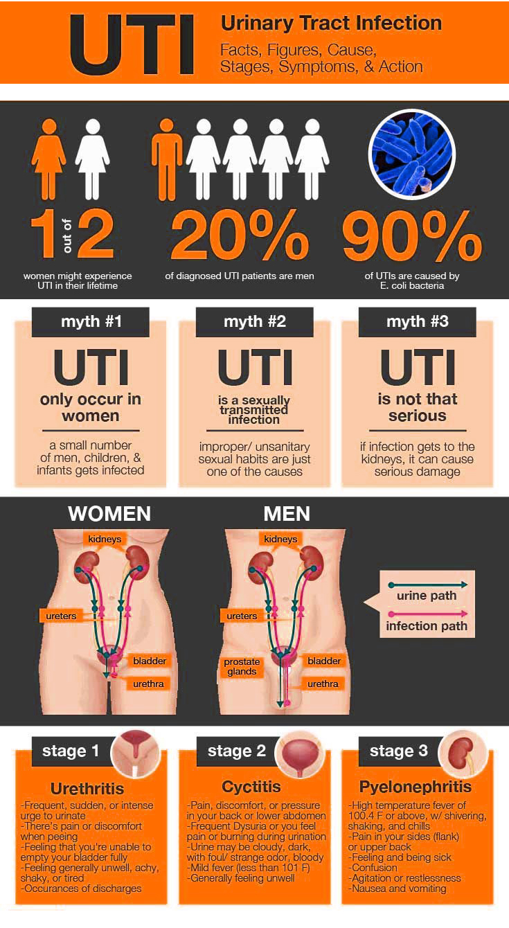 UTI_FACTS_ORANGE_V2